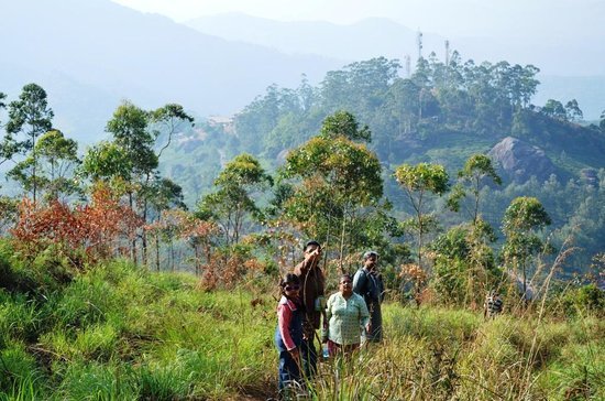 North East India Hill Station Tour